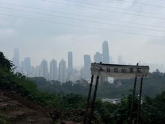 -南山植物园