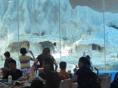 -帝企鹅自助餐厅•儿童岛•真企鹅(长隆企鹅酒店)