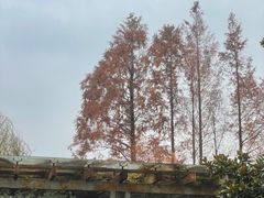 -上海浦东康桥绿地假日酒店