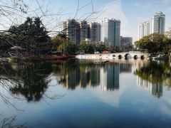 -荔湾湖公园