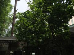 -新竹里馆·花园餐厅(兴苑路店)
