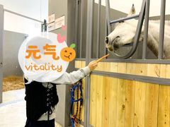 -骑乐马术(广州奥体优托邦中心)