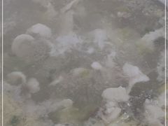 -红日饭店(裕隆三路店)