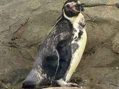 -秦皇岛新澳海底世界