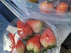 -乐乐鲜果(解放南路店)