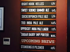 -Boxing Cat Brewery拳击猫精酿啤酒馆(永福店)