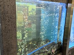 -鲜味食族水产·海鲜餐厅