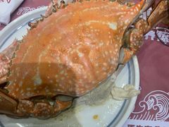 -77号渔船·蒸海鲜青岛菜(积米崖店)