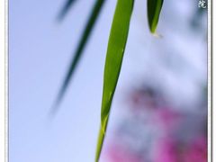 -上海长海医院·体检中心