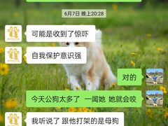 -趣玩宠物乐园寄养训犬训狗游泳池