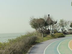 -贡湖湾湿地公园