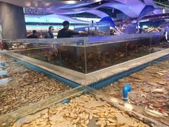 -一方渔歌蒸汽海鲜自助(文化路万达广场店)