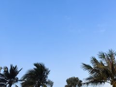 -西秀海滩公园