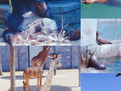 -那香海钻石沙滩浴场