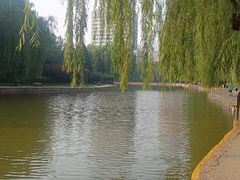 -团结湖公园