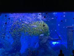 -哈尔滨波塞冬海底世界