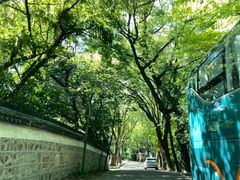 -上海佘山国家森林公园天马山园