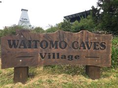 -怀托摩萤火虫洞