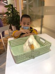-Moni星球萌宠·小马宝莉·灵蛇·高端高阶全萌宠互动体验俱乐部(红豆国际广场店)