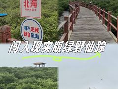 -北海金海湾红树林生态旅游区