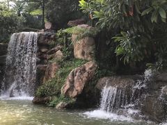 -广州市帽峰山景区