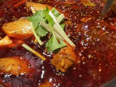 -川东长筷子耗儿鱼(万象润街店)