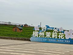 -中华茉莉园
