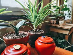 -胖哥料理(兴义里店)