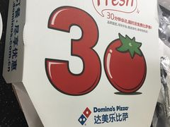 -达美乐比萨(武定店)