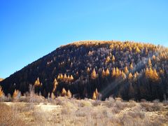 -塞罕坝国家级自然保护区