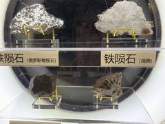 -上海儿童博物馆