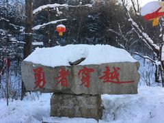 -雪谷