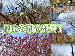 -康庄公园