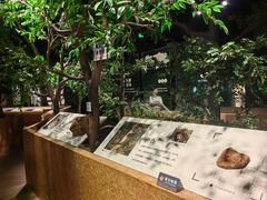 -香市公园-中国沉香文化博物馆