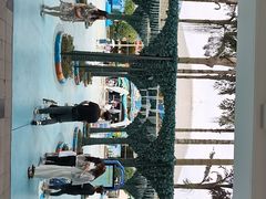 -海合安成都极地海洋公园