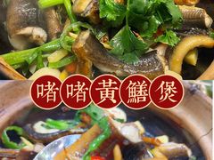 -飞尝蚝·顺德菜·鱼生(顺德总店)