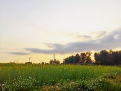 -光明小镇欢乐田园