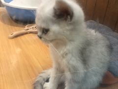 -龟与熊猫宠物公园(南坪店)