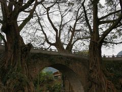 -万峰林风景区