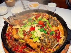 -老板恋上鱼(高新万达店)