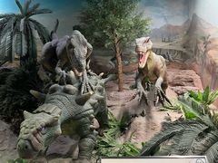 -国家自然博物馆