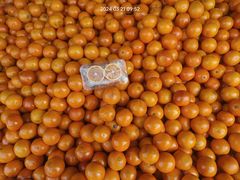 -新隆嘉供销超市(青岛瑞昌路店)