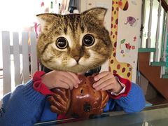 -85度C(南京龙江店)