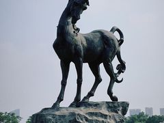-洋湖国家湿地公园