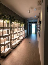 -摩睫+皮肤管理·科学美容中心