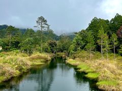 -海南热带雨林国家公园吊罗山景区