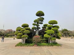 -集美鳌园景区