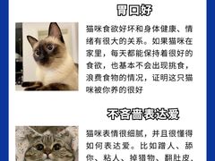 -爱侣宠医·鹦鹉专科·小型哺乳类·异宠专科(灵石路店)