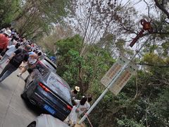 -广东惠东海龟国家级自然保护区