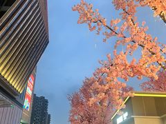 -首开·龙湖成都西宸天街